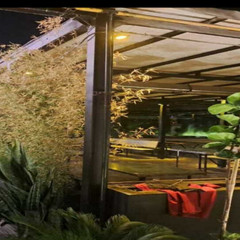 resume image