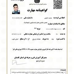 resume image