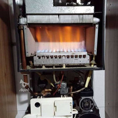 resume image