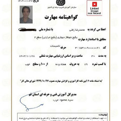 resume image