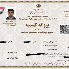resume image