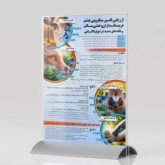 resume image