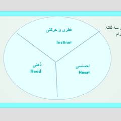resume image